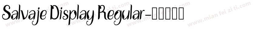 Salvaje Display Regular字体转换